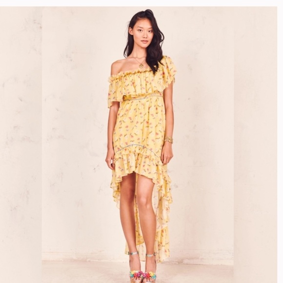 🌼Loveshackfancy Hi Low Alexia Dress in Sunburst🌻 - Picture 3 of 9